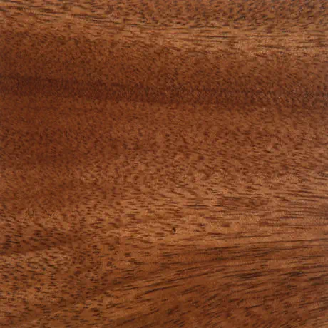 Goncolo Alves with Polyurethane