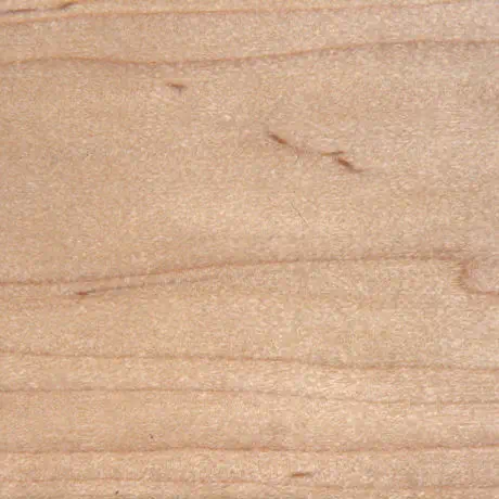 Maple, Hard with Lacquer