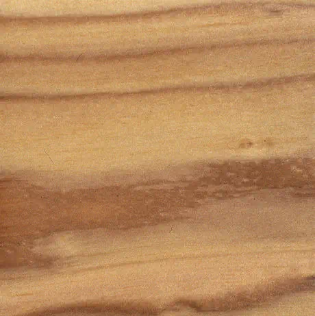 Hemlock with Tung Oil