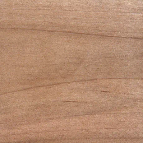 Maple, Soft with Lacquer