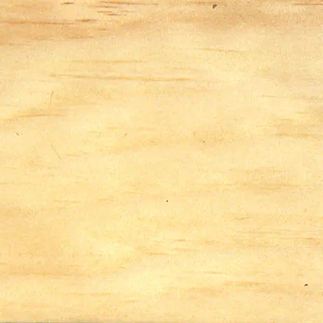 Pine, Eastern White with Lacquer