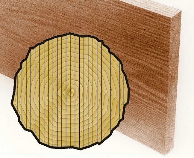 Illustration of live sawn wood showing a wooden board and a diagram of how live sawn boards are cut from a log