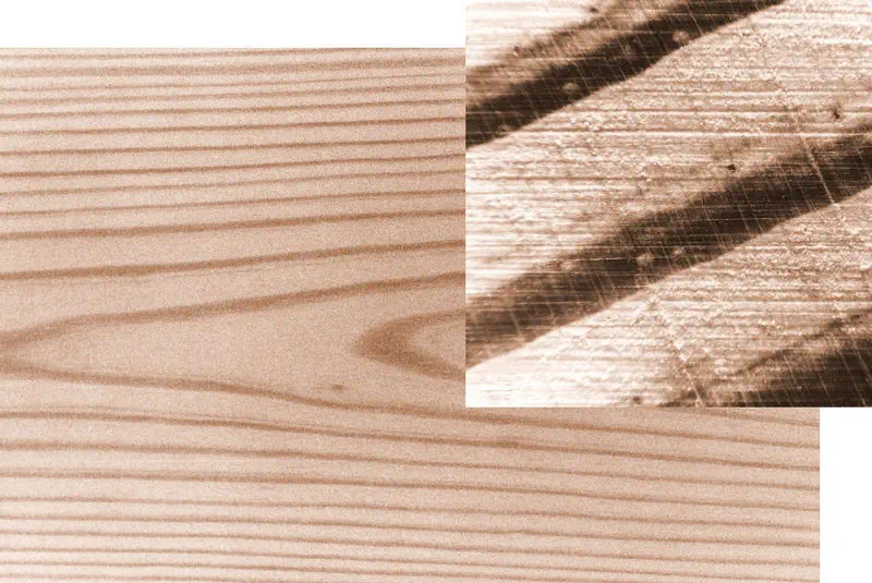 pine board in the background and Softwood Pores Close-up