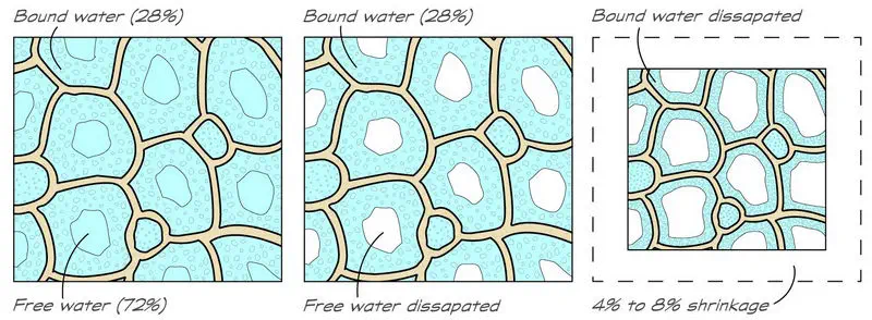 illistration of wood cells with different amounts of bound water