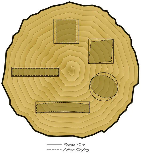 illustration of the end of a log showing how boards might warp if cut out in diffent ways