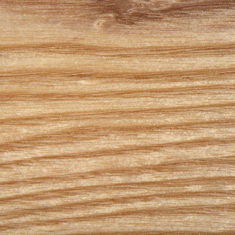 Physical Properties of North American Hardwoods